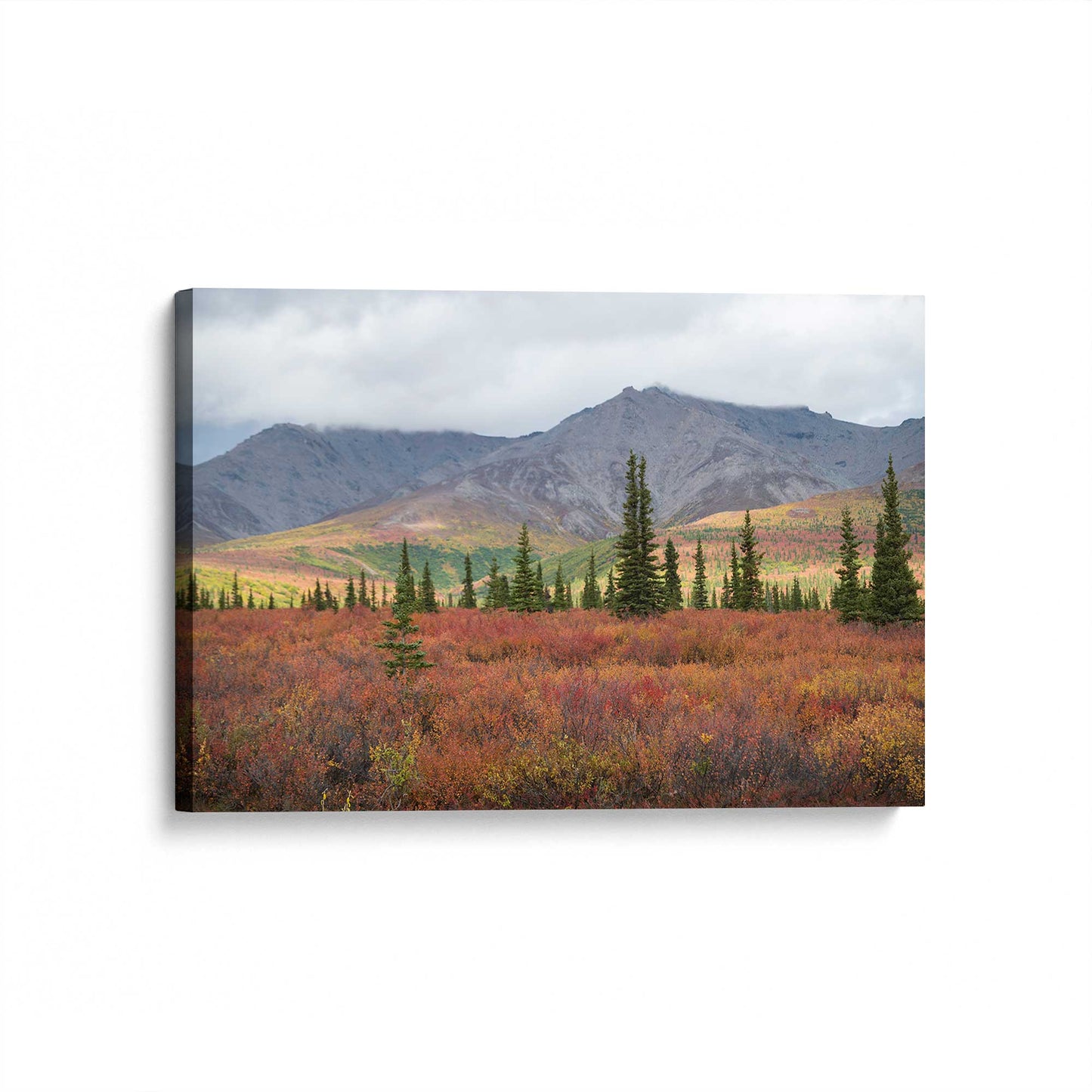 [Color:Stretched Canvas], Picture of art at an angle