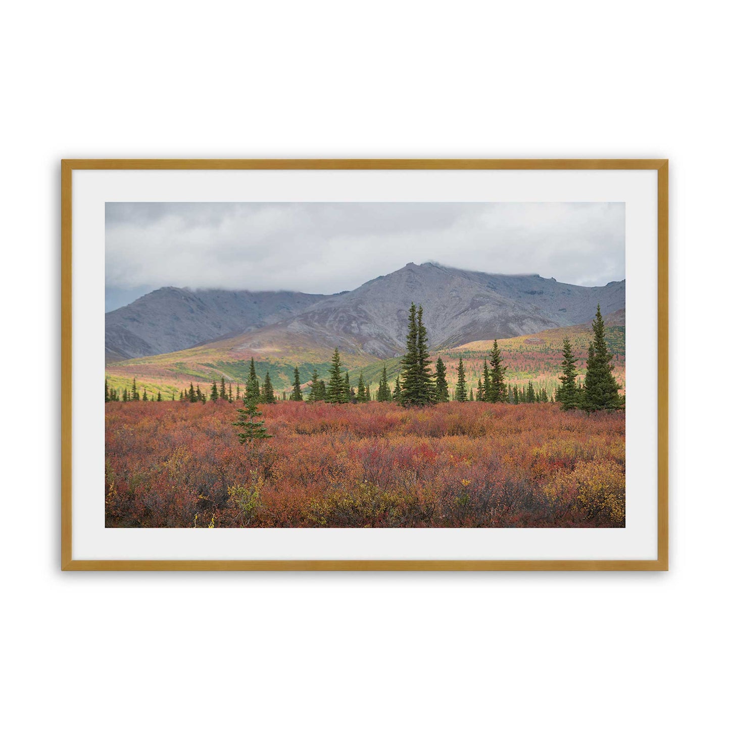 [Color:Polished Gold], Picture of art in a Polished Gold frame