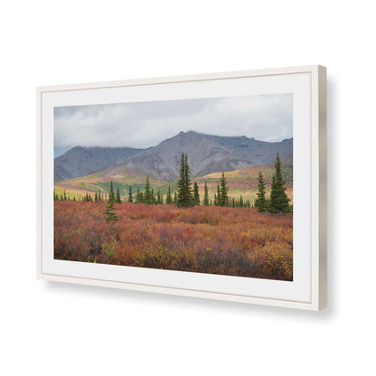 [Color:Opaque White], Picture of art in a Opaque White frame of the corner