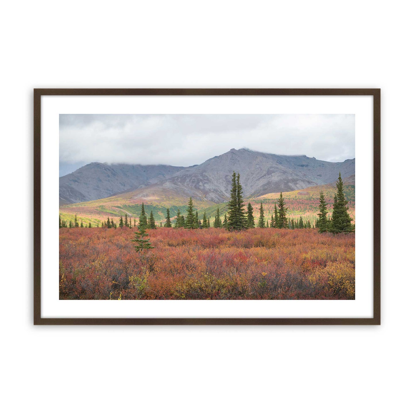 [Color:Brown], Picture of art in a Brown frame