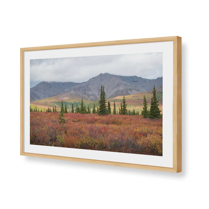 [Color:American Maple], Picture of art in a American Maple frame of the corner