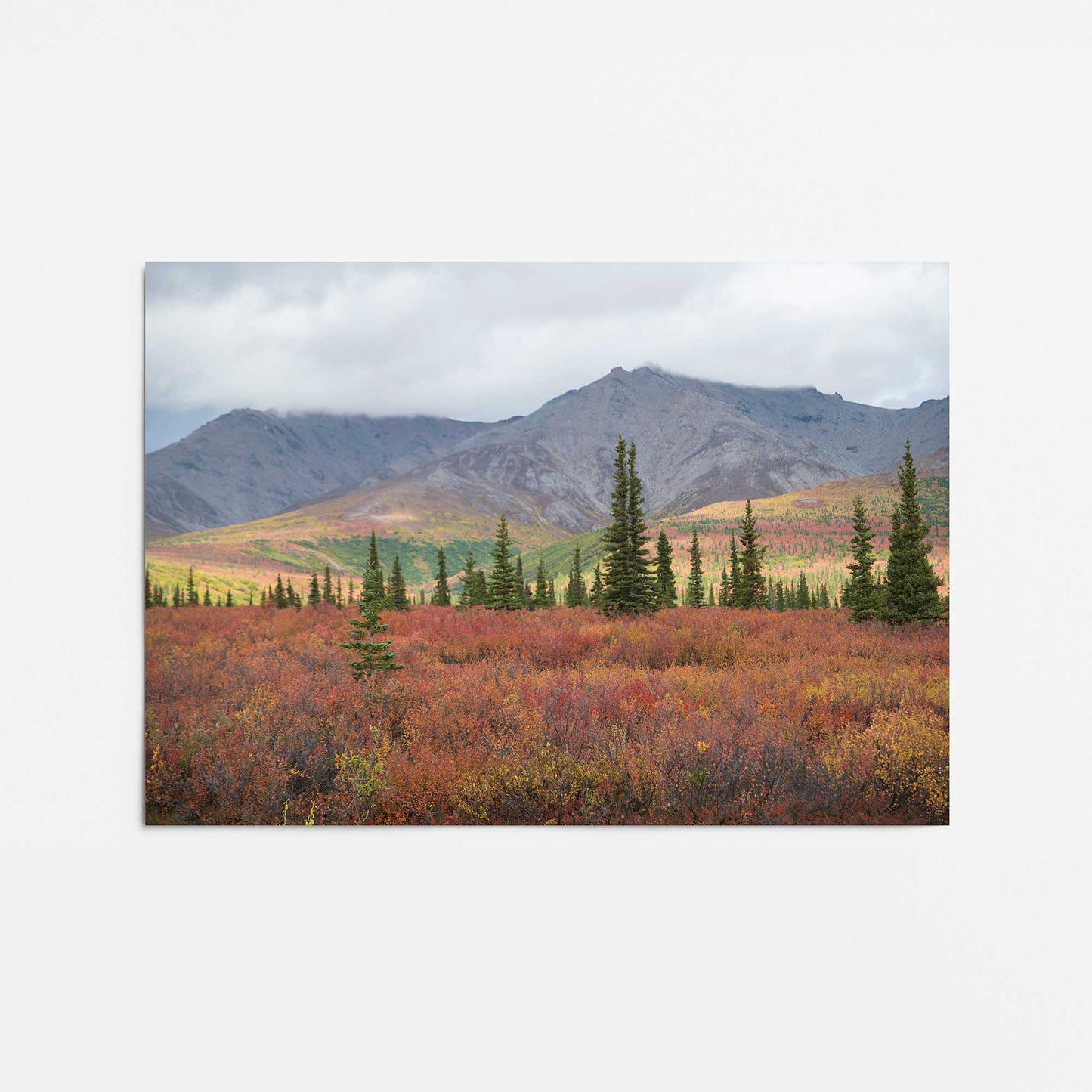 [Color:Rolled Print], Picture of close up of art