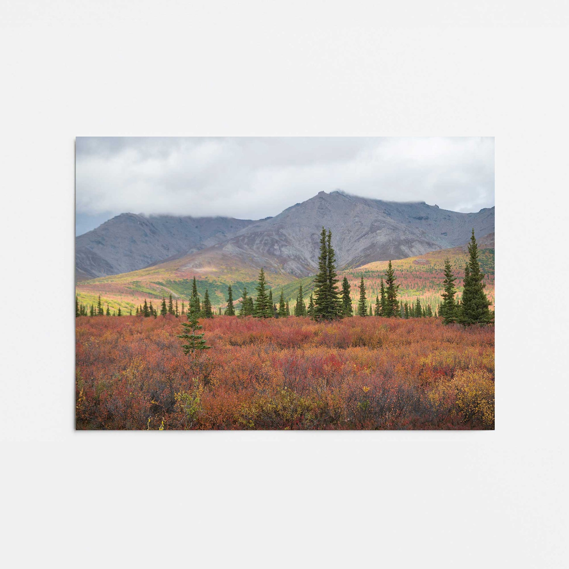 [Color:Rolled Print], Picture of close up of art