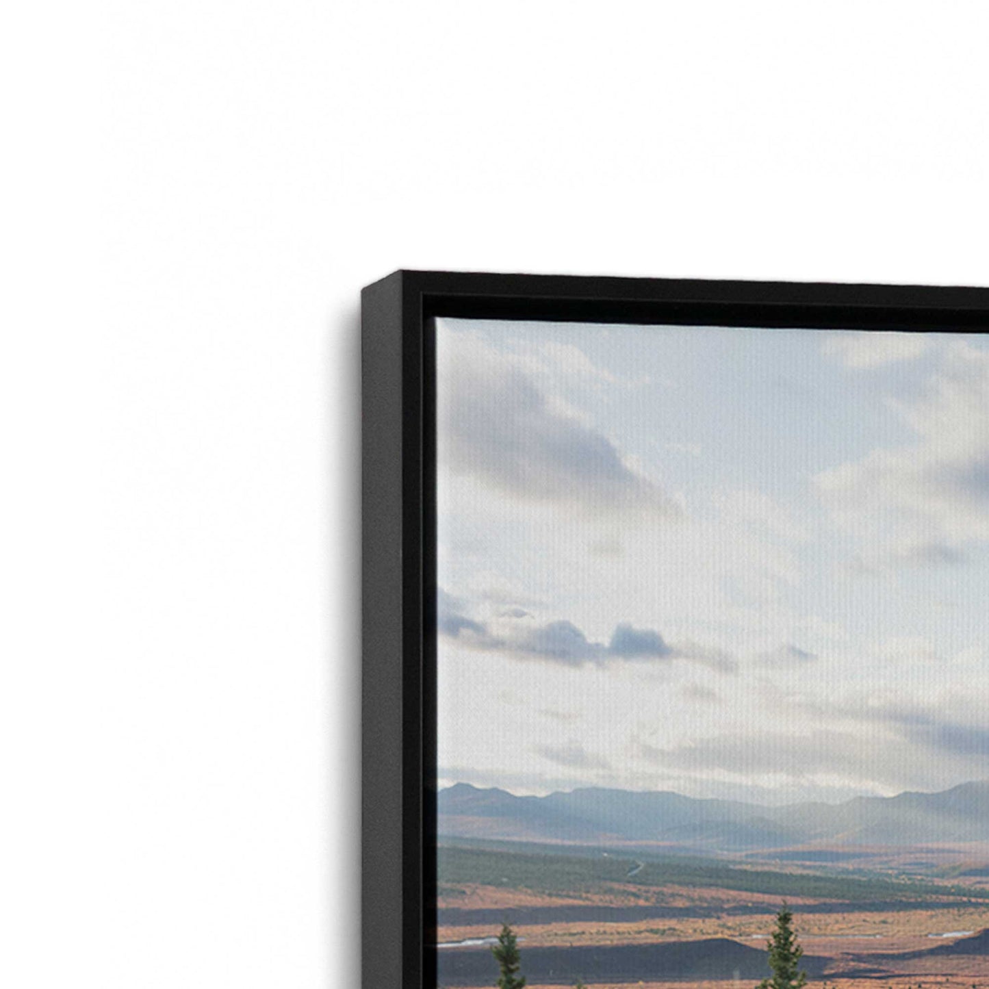 [Color:Satin Black], Picture of art in a Satin Black frame at an angle