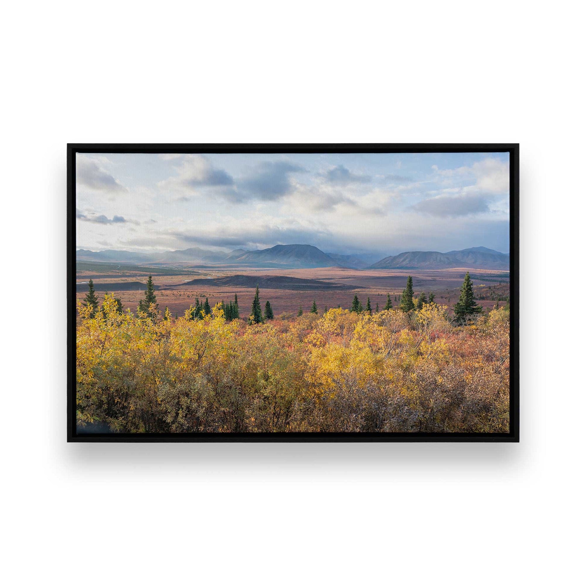 [Color:Satin Black], Picture of art in a Satin Black frame