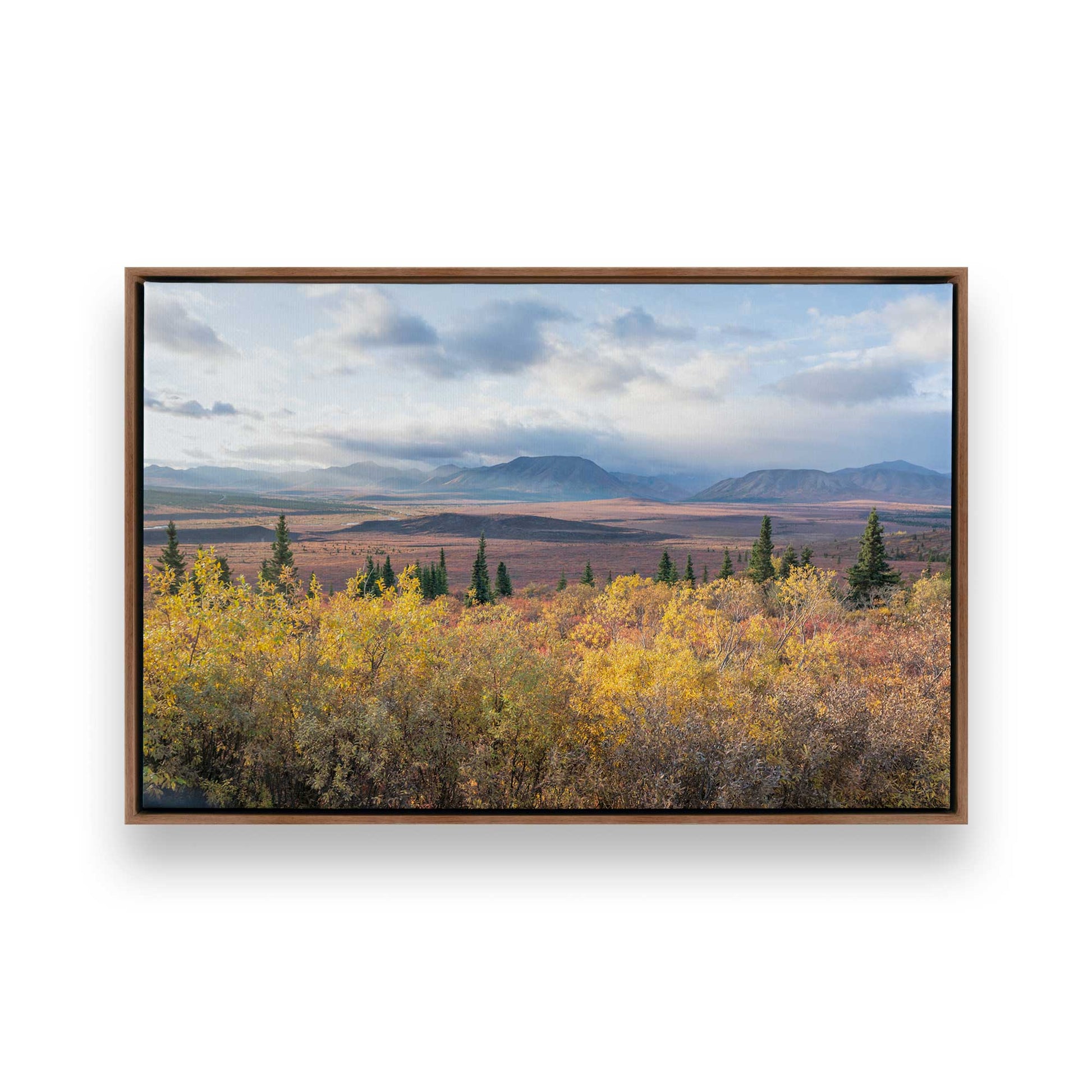 [Color:Walnut], Picture of art in a Walnut frame