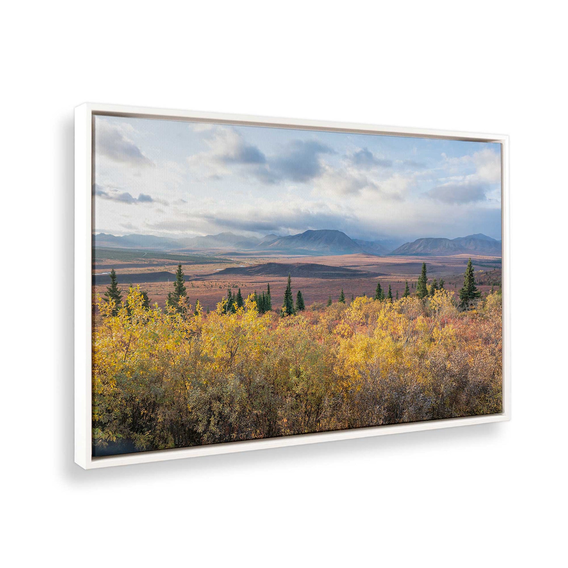 [Color:Opaque White], Picture of the corner of the art