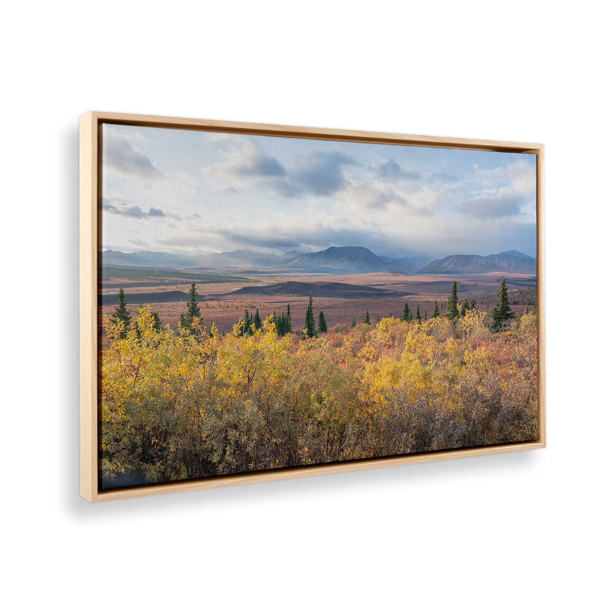 [Color:American Maple], Picture of the corner of the art