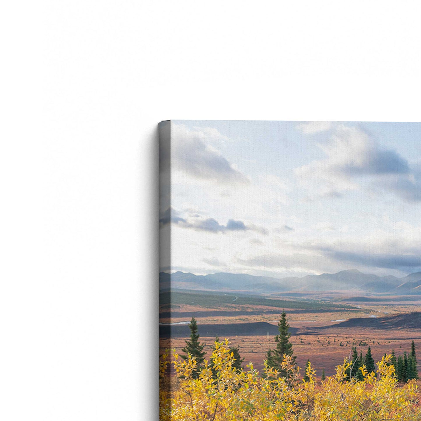 [Color:Stretched Canvas], Picture of the corner of the art