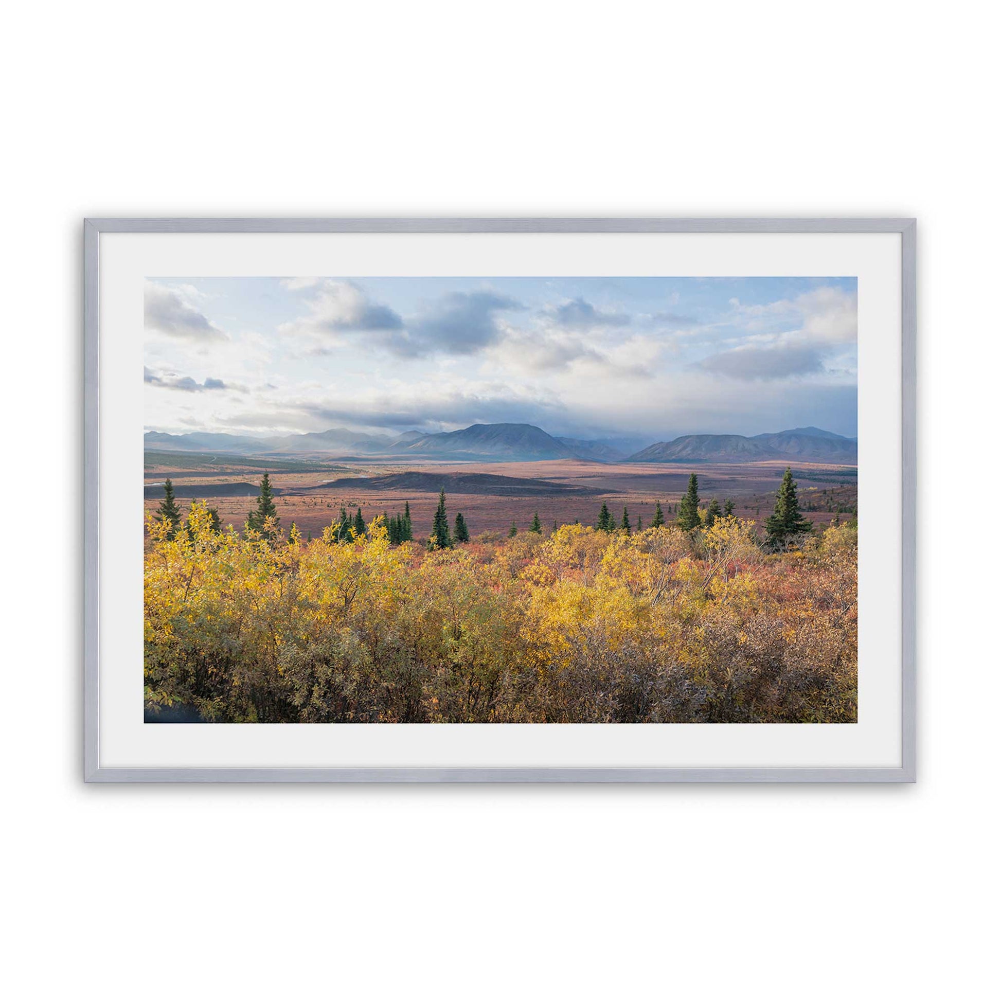 [Color:Polished Chrome], Picture of art in a Polished Chrome frame