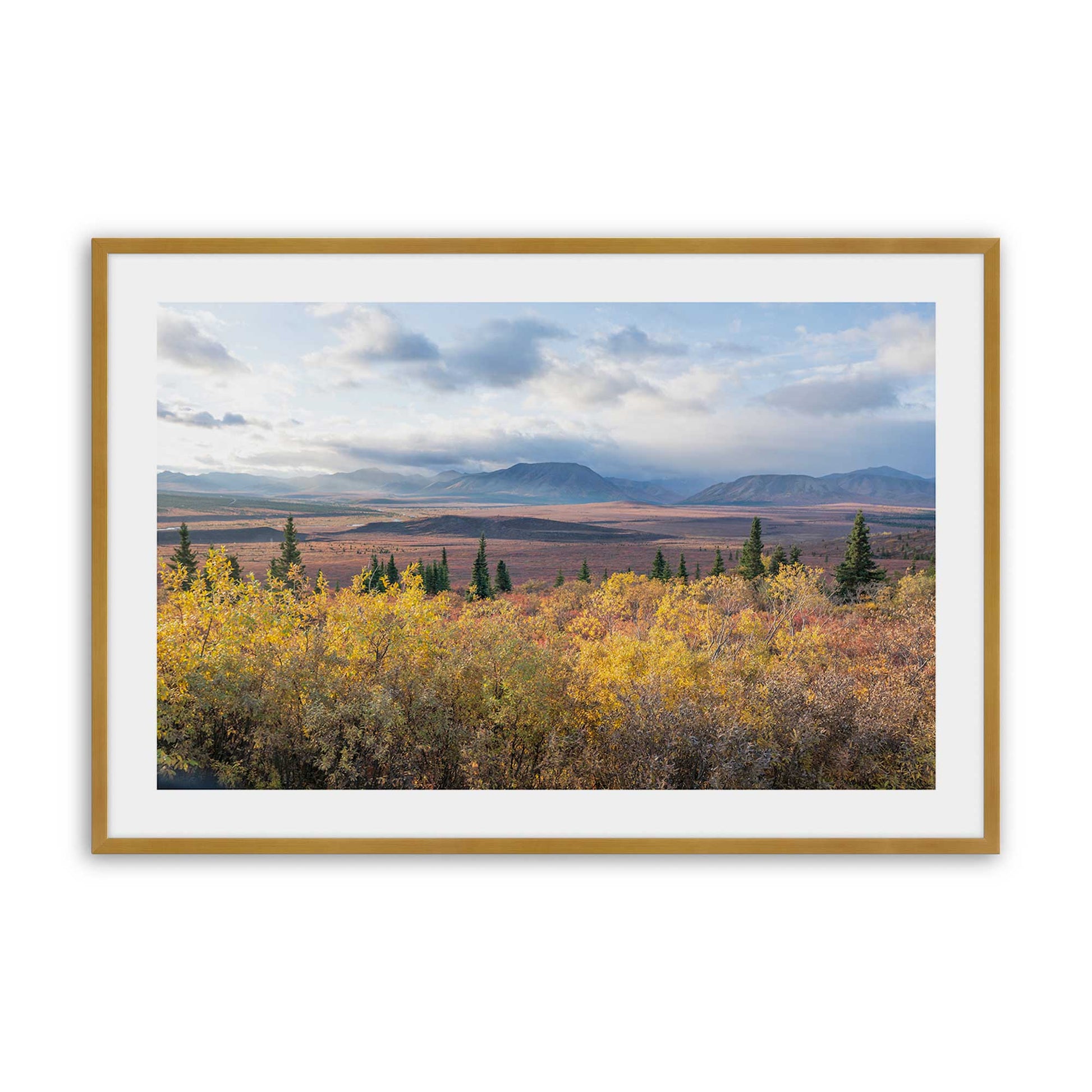 [Color:Polished Gold], Picture of art in a Polished Gold frame