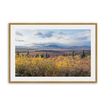 [Color:Polished Gold], Picture of art in a Polished Gold frame