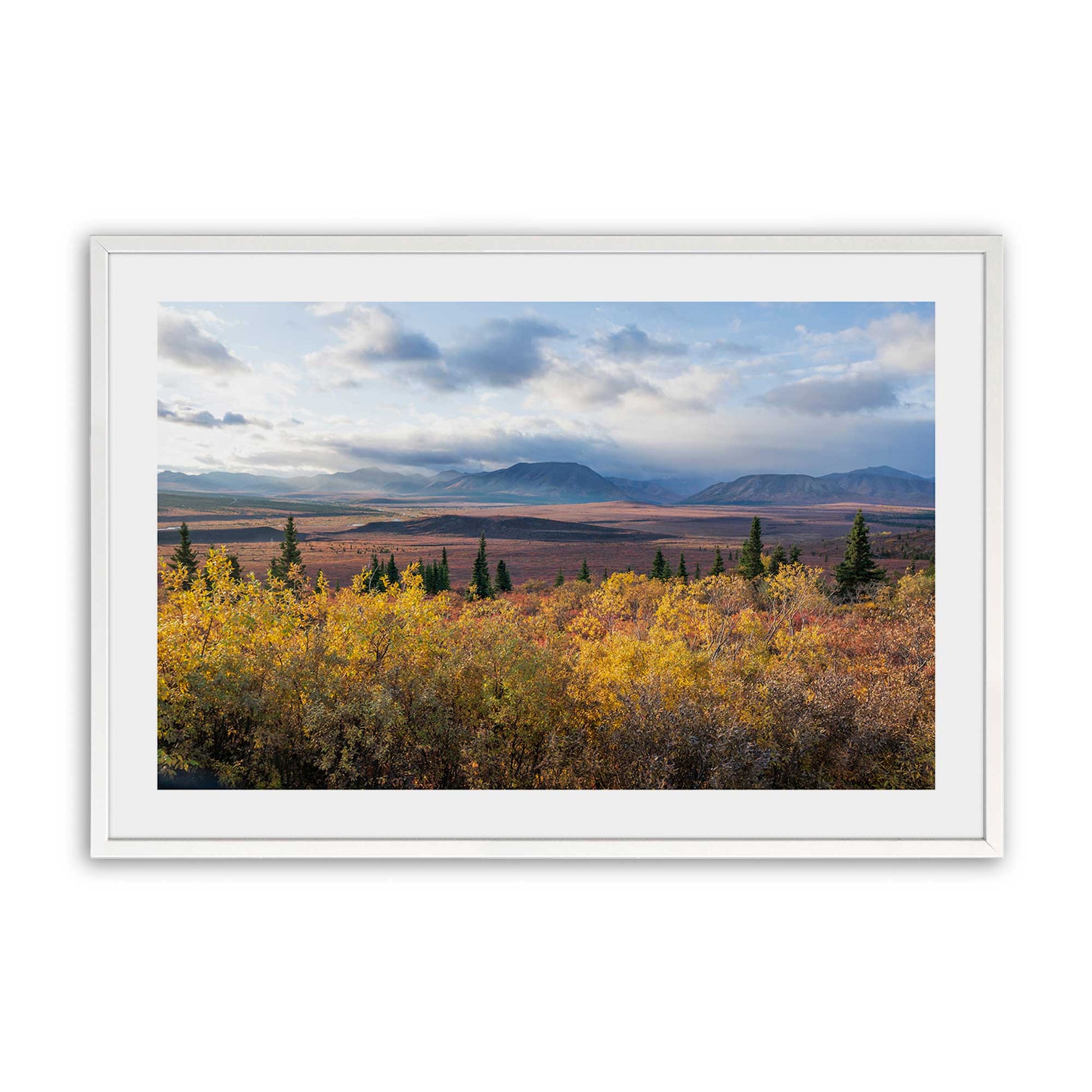 [Color:Opaque White], Picture of art in a Opaque White frame