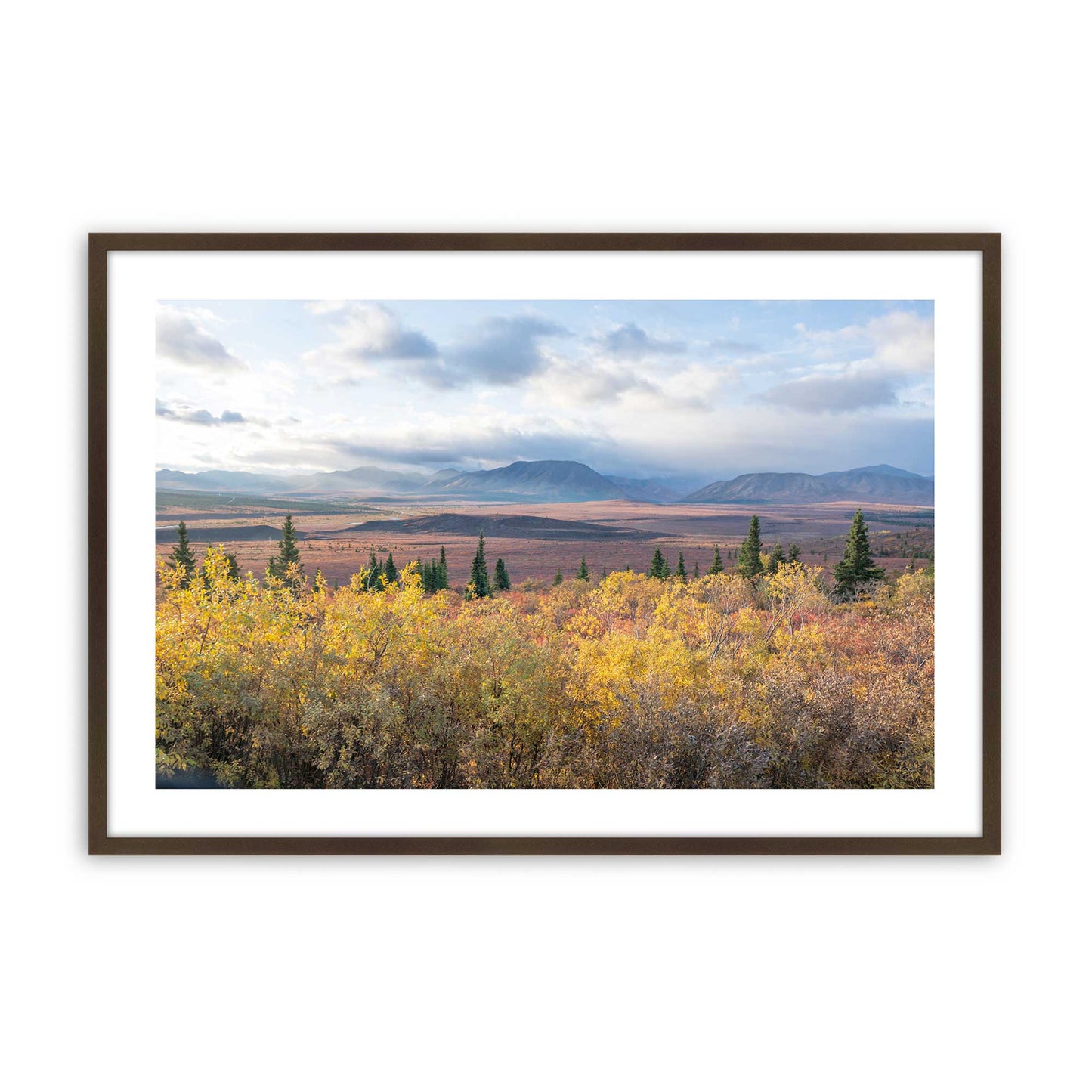 [Color:Brown], Picture of art in a Brown frame
