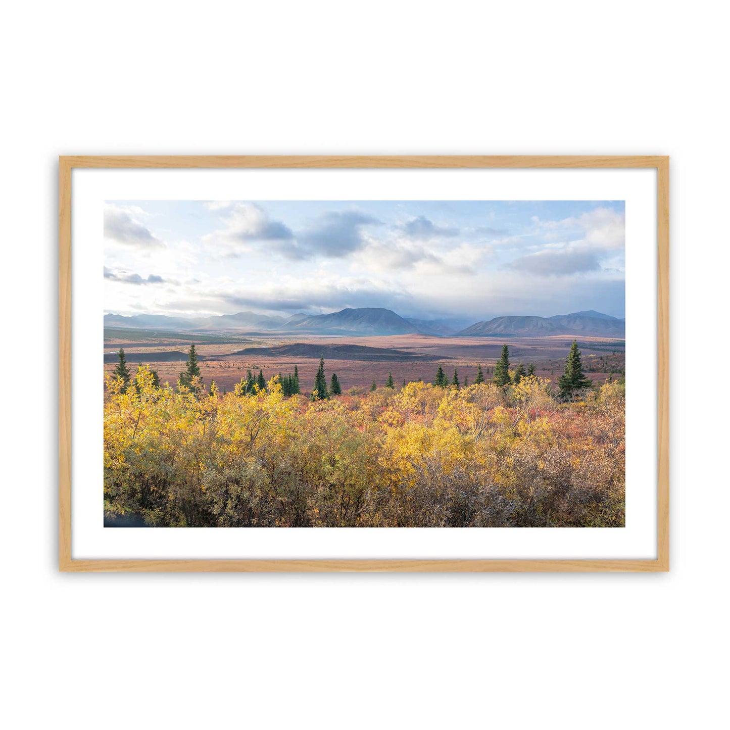 [Color:American Maple], Picture of art in a American Maple frame