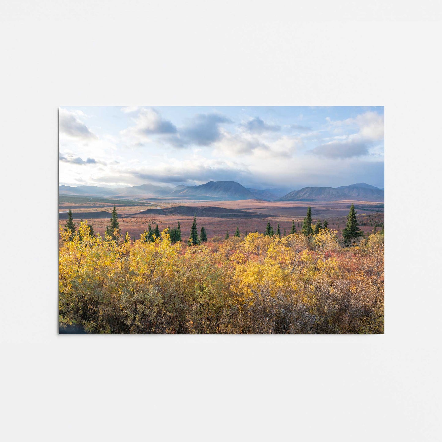[Color:Rolled Print], Picture of close up of art