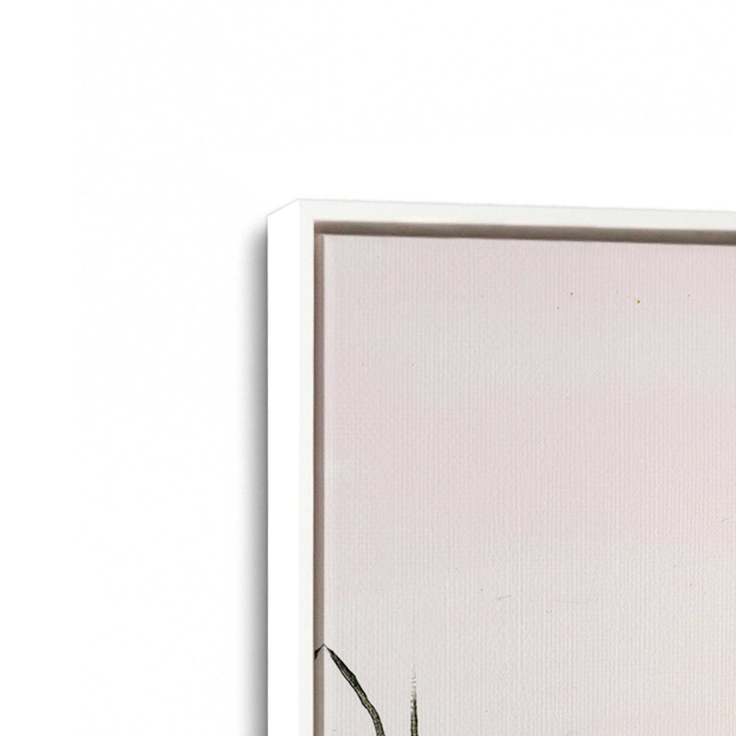 [Color:Opaque White], Picture of art in a White frame at an angle