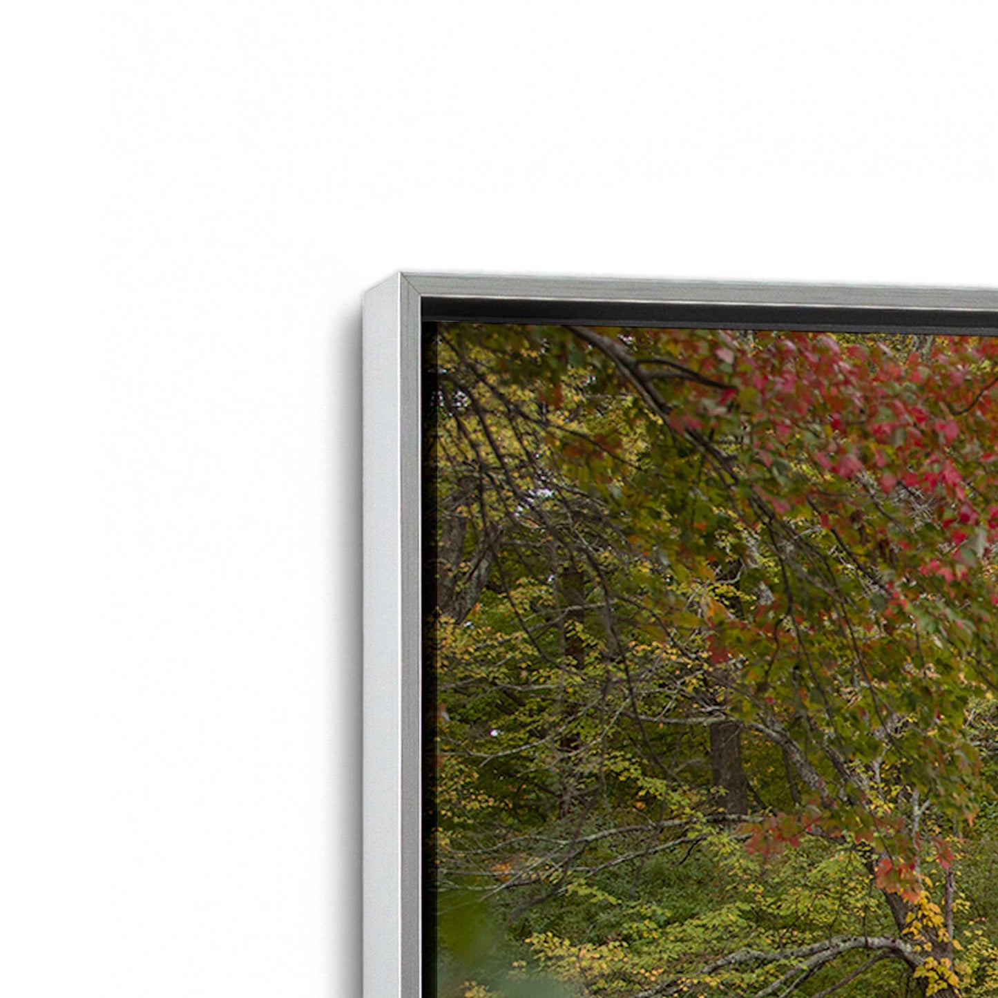 [Color:Polished Chrome], Picture of art in a Polished Chrome frame at an angle