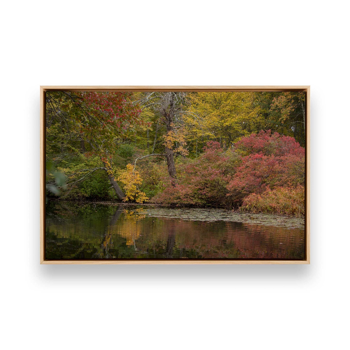 [Color:American Maple], Picture of art in a American Maple frame