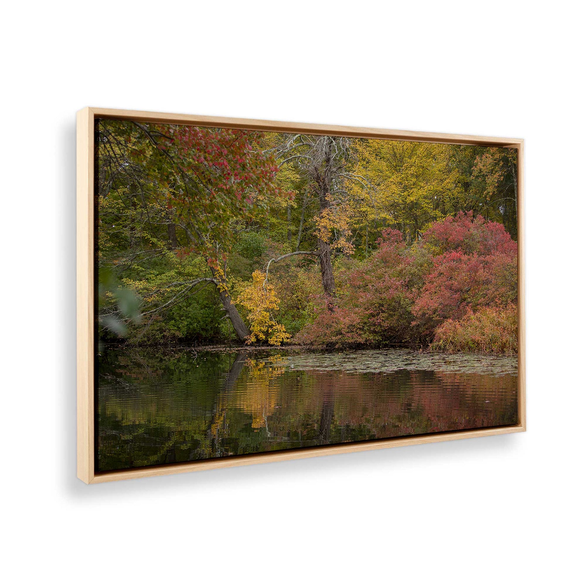 [Color:American Maple], Picture of the corner of the art