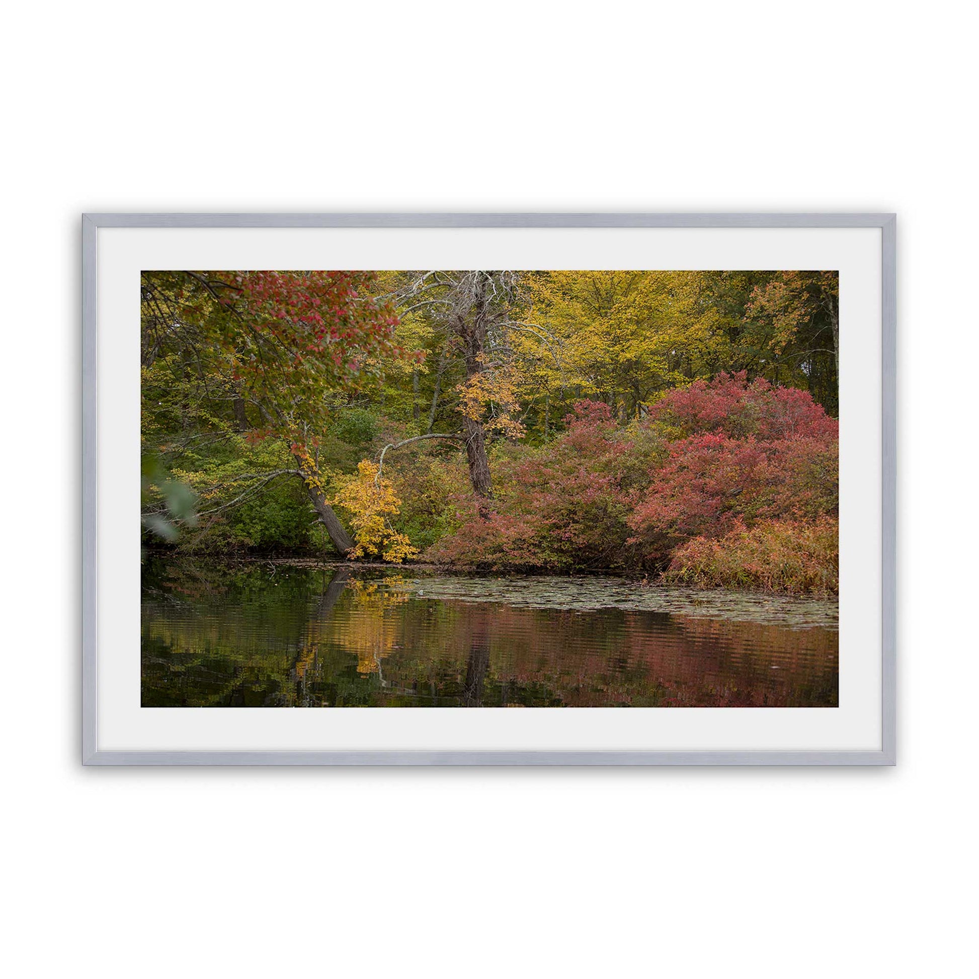 [Color:Polished Chrome], Picture of art in a Polished Chrome frame