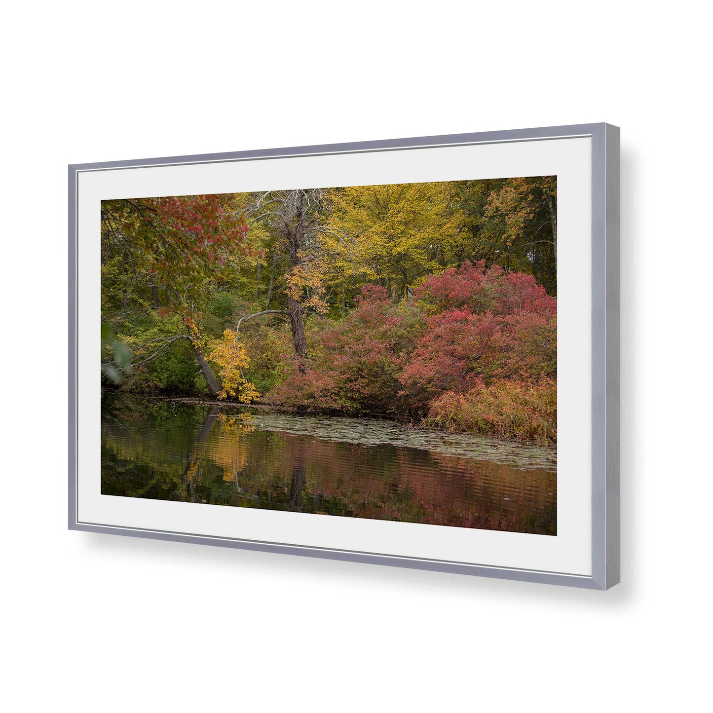 [Color:Polished Chrome], Picture of art in a Polished Chrome frame of the corner