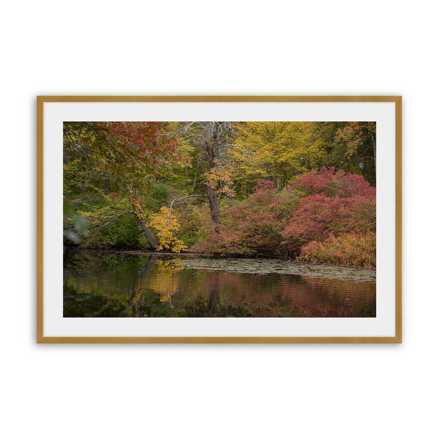 [Color:Polished Gold], Picture of art in a Polished Gold frame