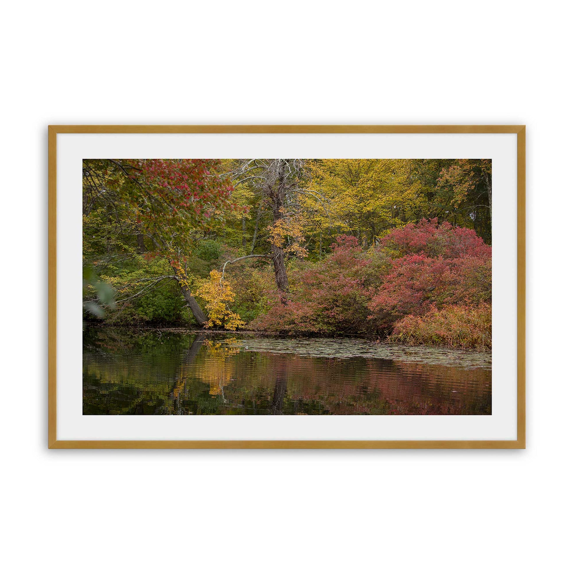 [Color:Polished Gold], Picture of art in a Polished Gold frame