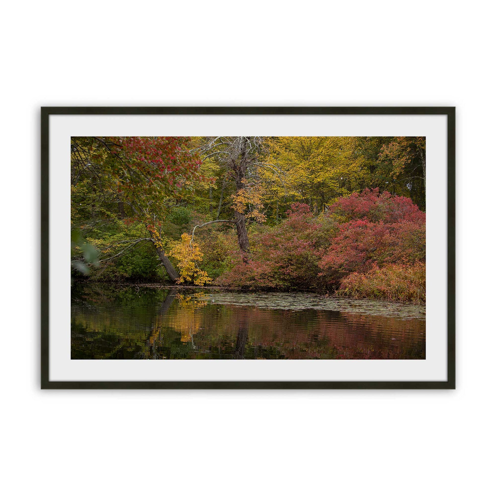 [Color:Satin Black], Picture of art in a Satin Black frame