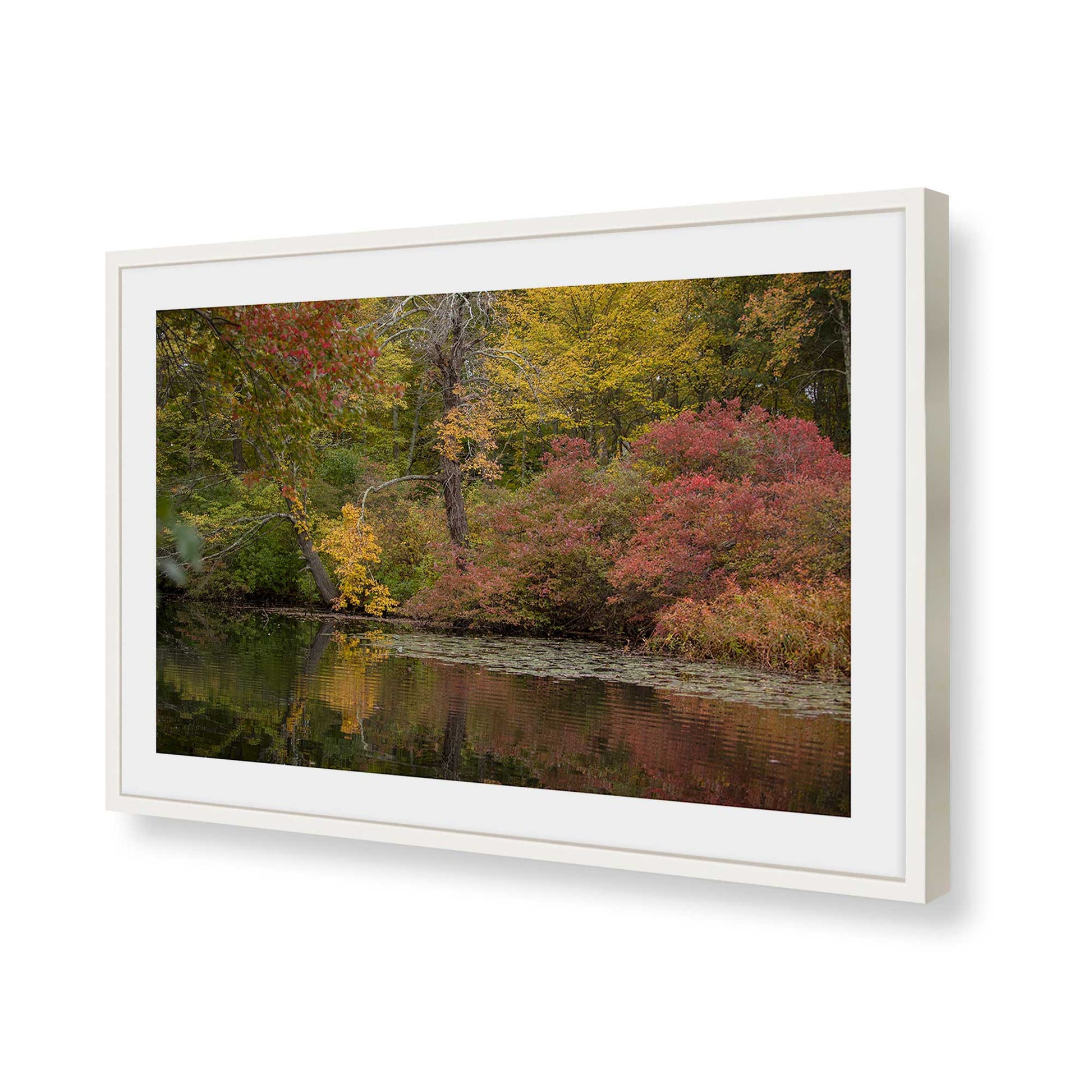 [Color:Opaque White], Picture of art in a Opaque White frame of the corner