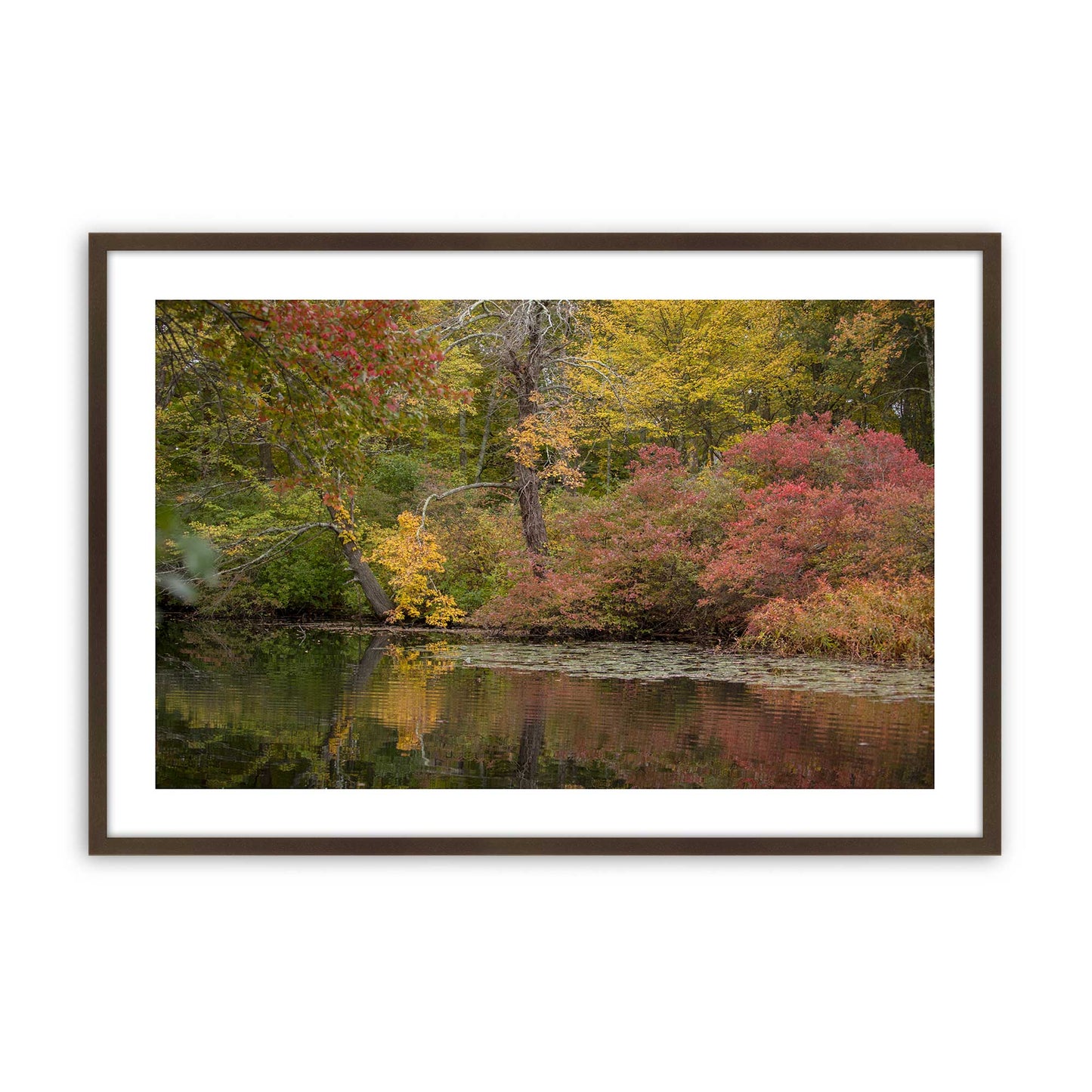 [Color:Brown], Picture of art in a Brown frame