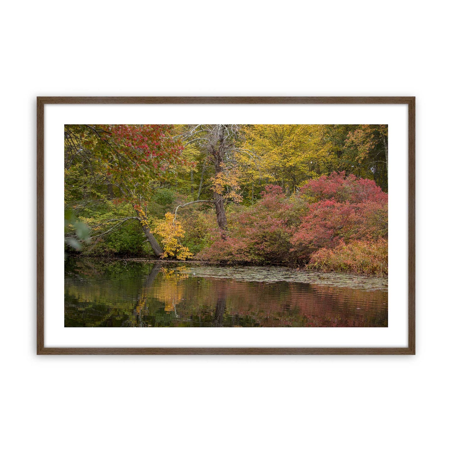 [Color:Walnut], Picture of art in a Walnut frame
