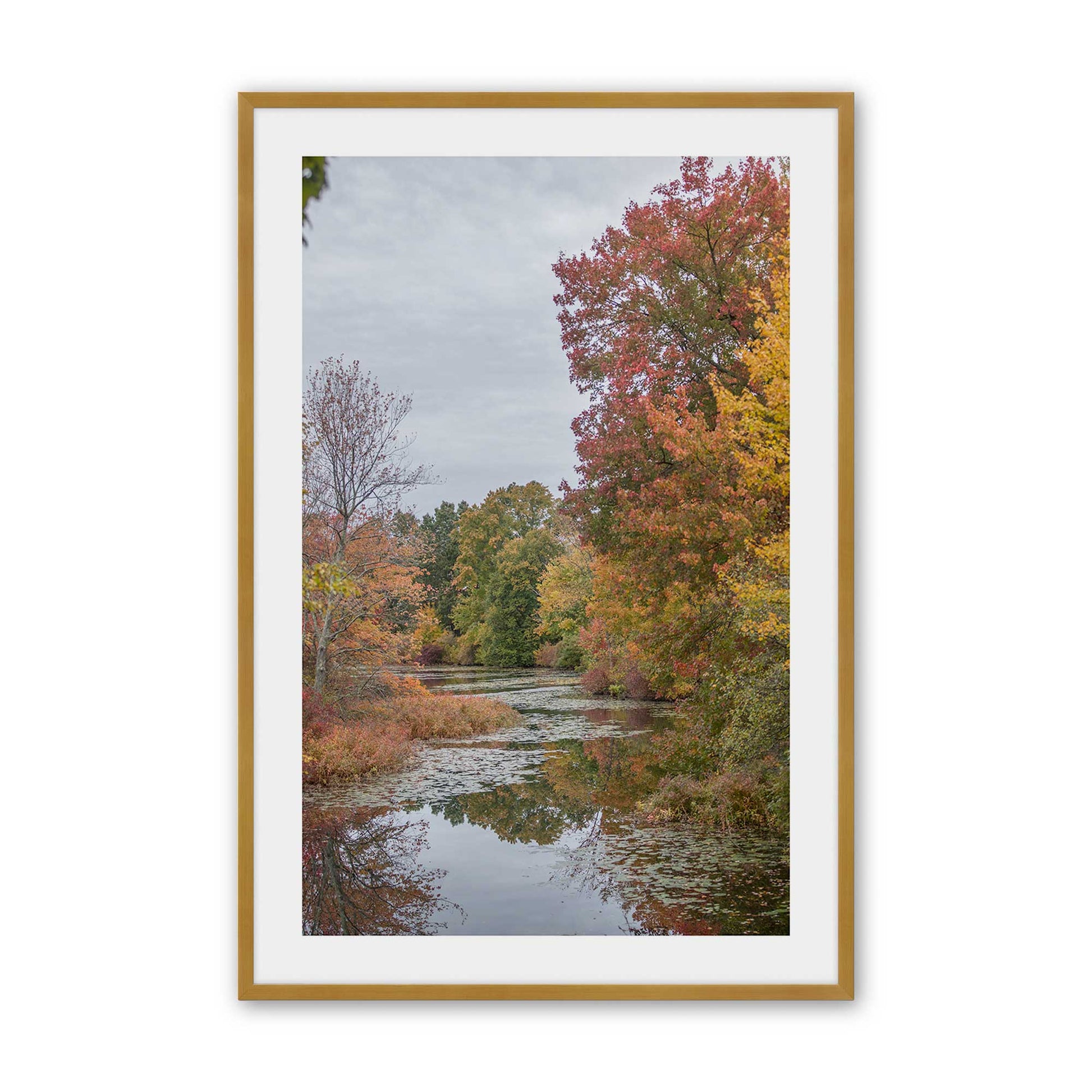 [Color:Polished Gold], Picture of art in a Polished Gold frame