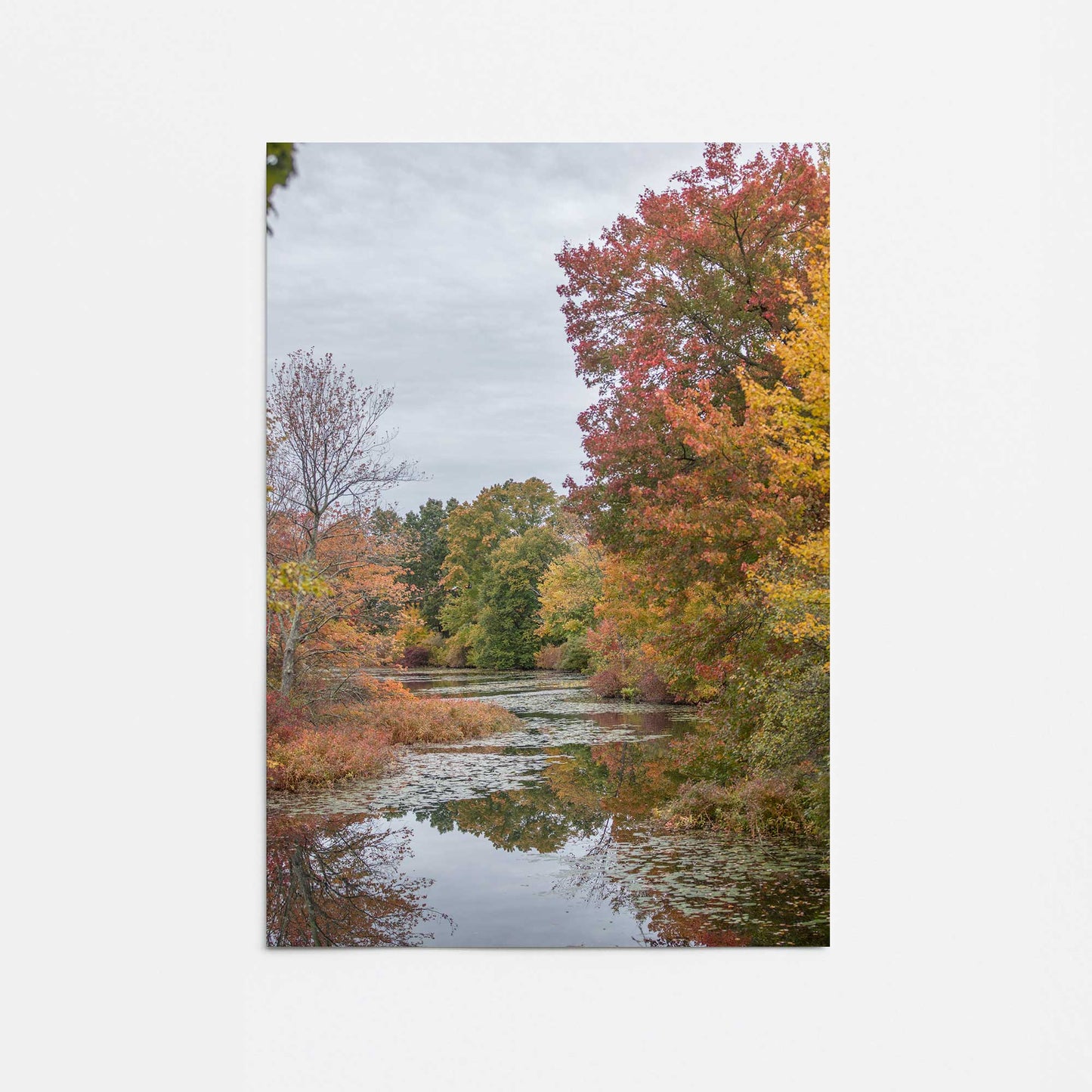 [Color:Rolled Print], Picture of close up of art