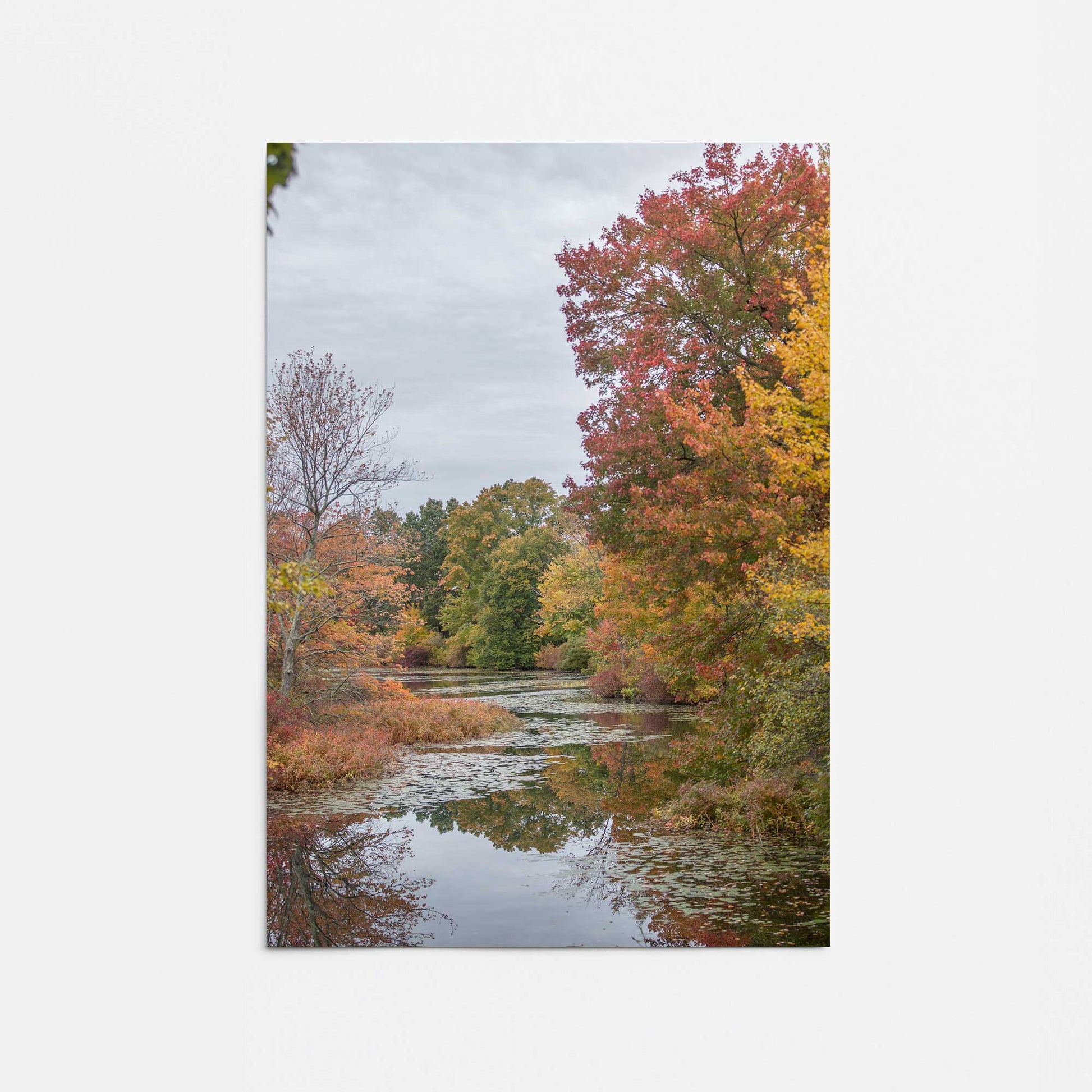 [Color:Rolled Print], Picture of close up of art