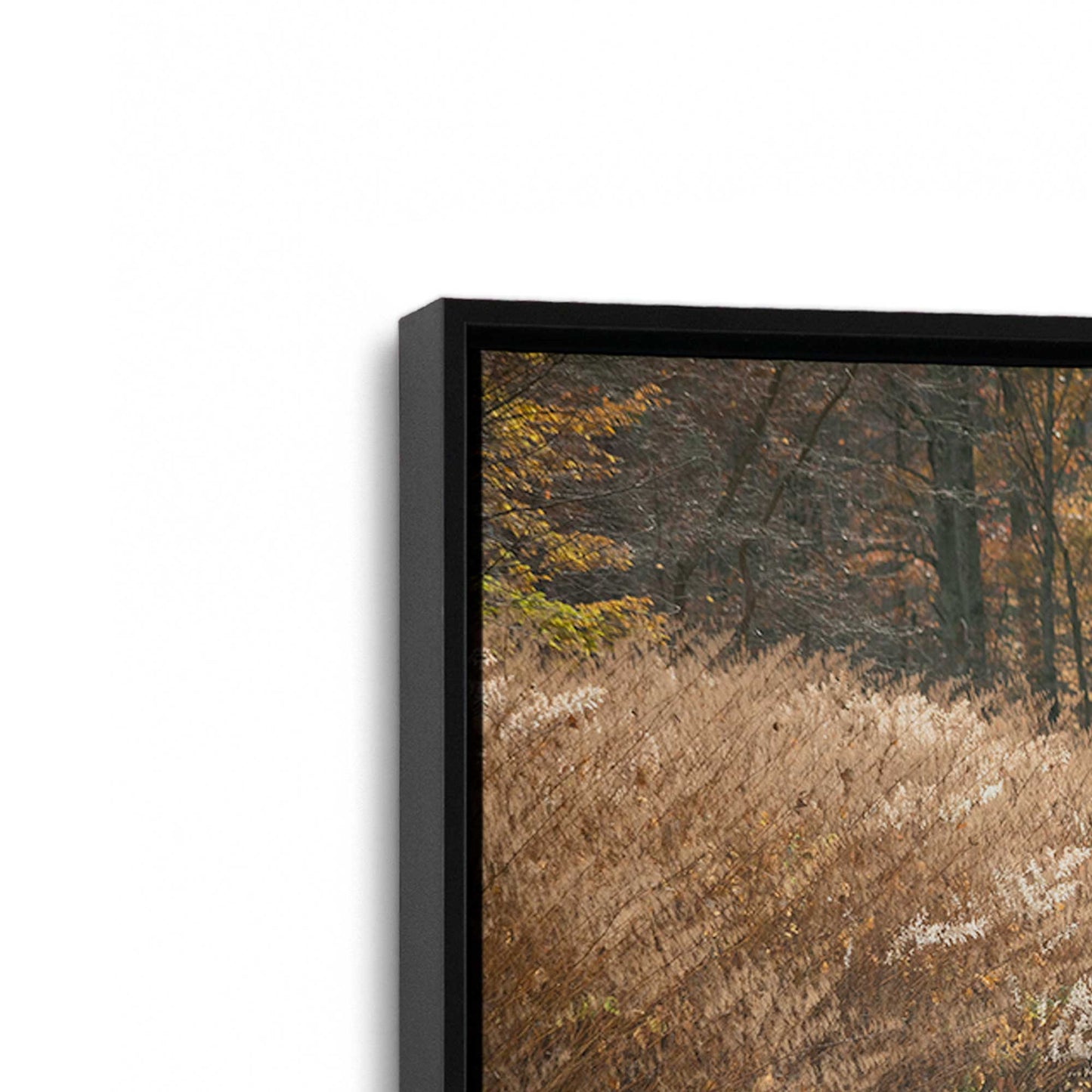 [Color:Satin Black], Picture of art in a Satin Black frame at an angle
