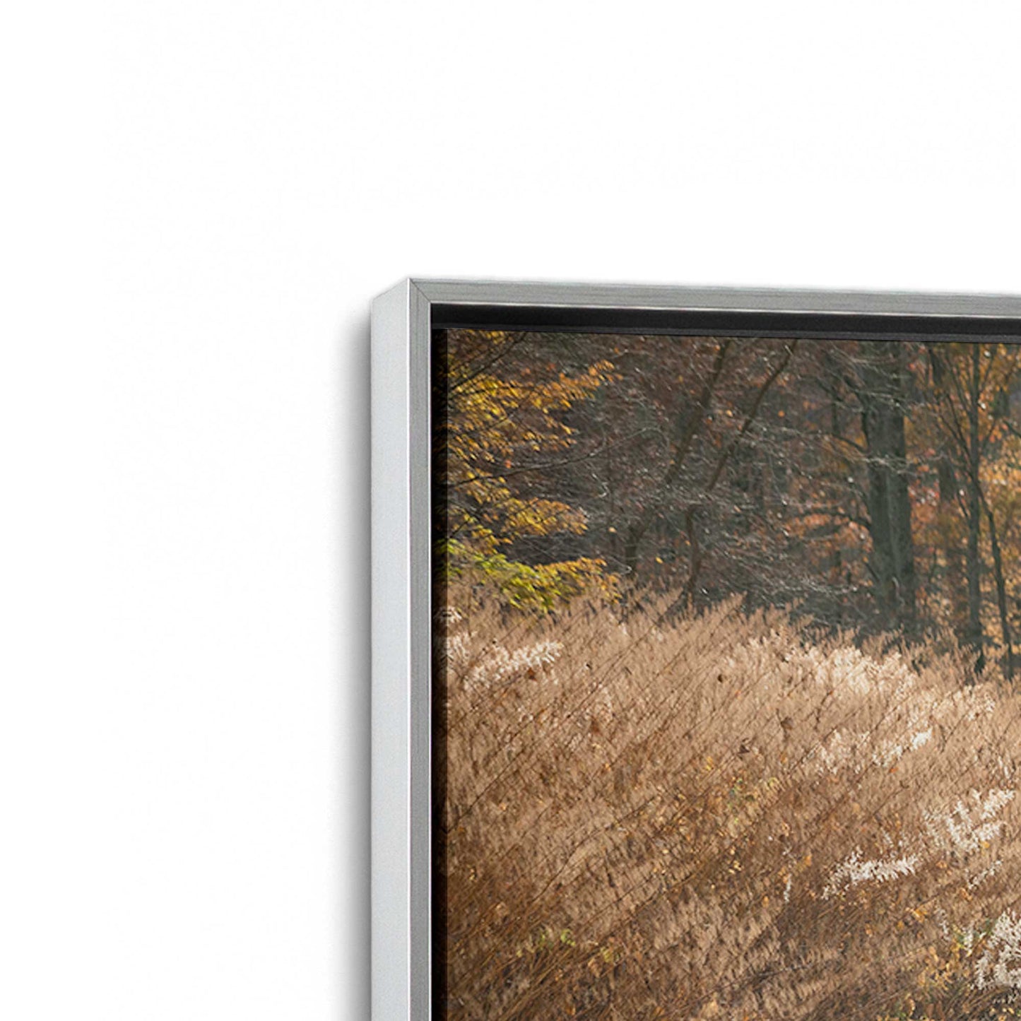 [Color:Polished Chrome], Picture of art in a Polished Chrome frame at an angle