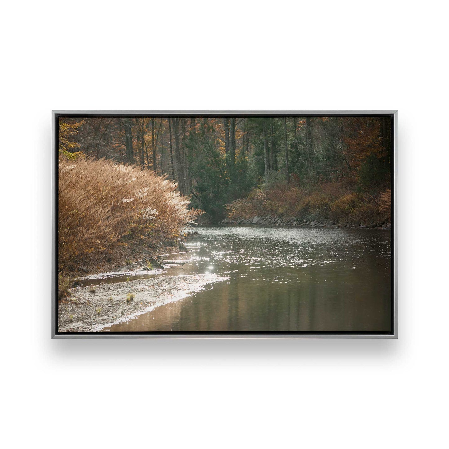 [Color:Polished Chrome], Picture of art in a Polished Chrome frame