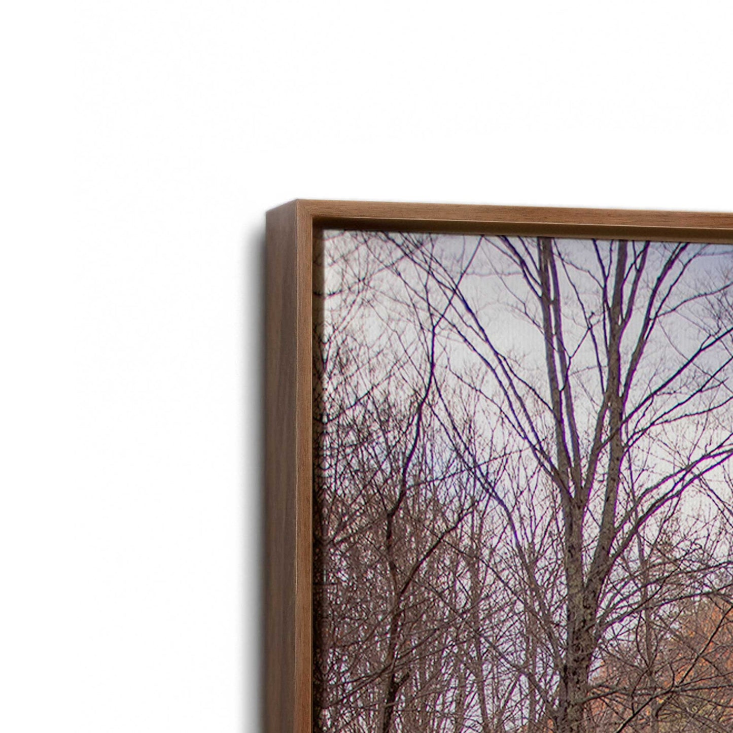 [Color:Walnut], Picture of art in a Walnut frame at an angle
