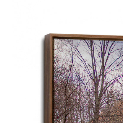 [Color:Walnut], Picture of art in a Walnut frame at an angle