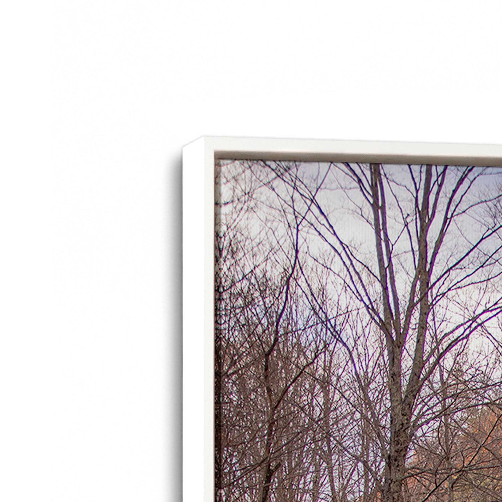 [Color:Opaque White], Picture of art in a White frame at an angle