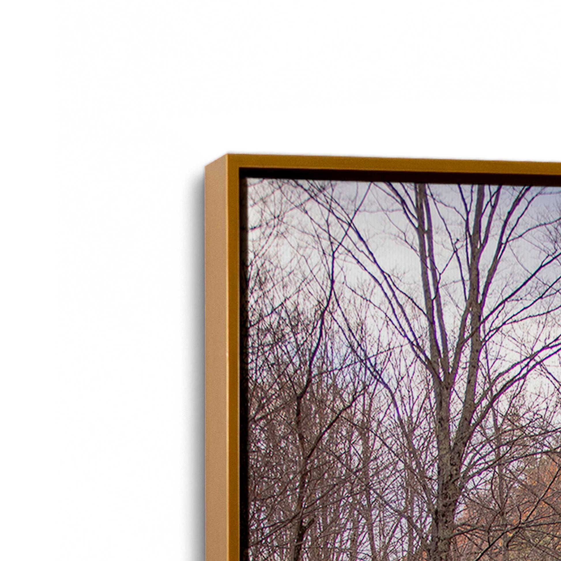 [Color:Polished Gold], Picture of art in a Polished Gold frame at an angle
