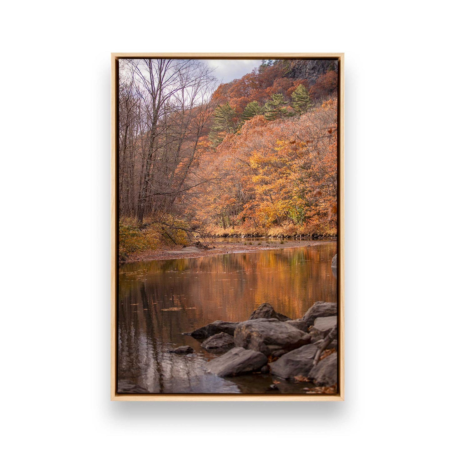 [Color:American Maple], Picture of art in a American Maple frame