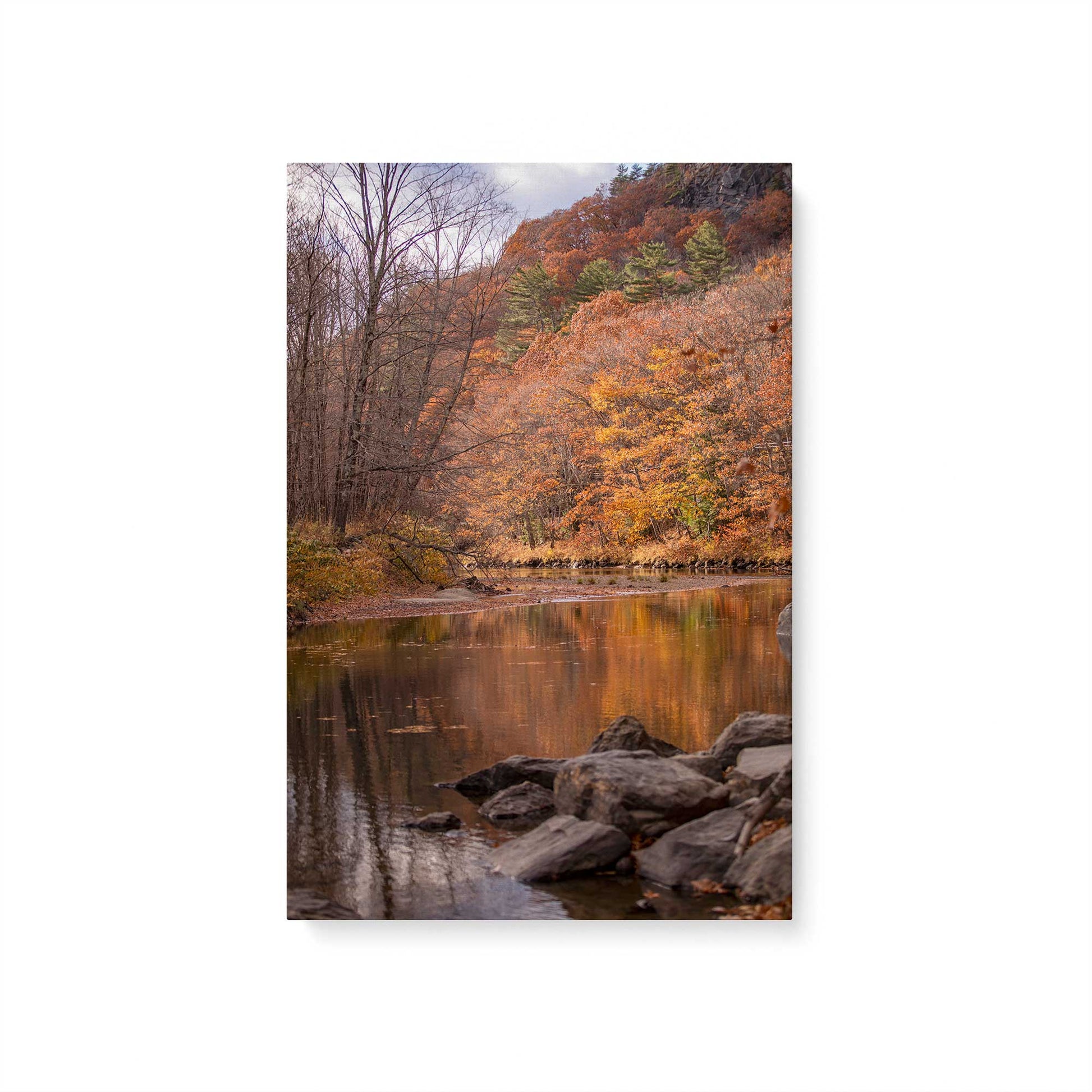 [Color:Stretched Canvas], Picture of art