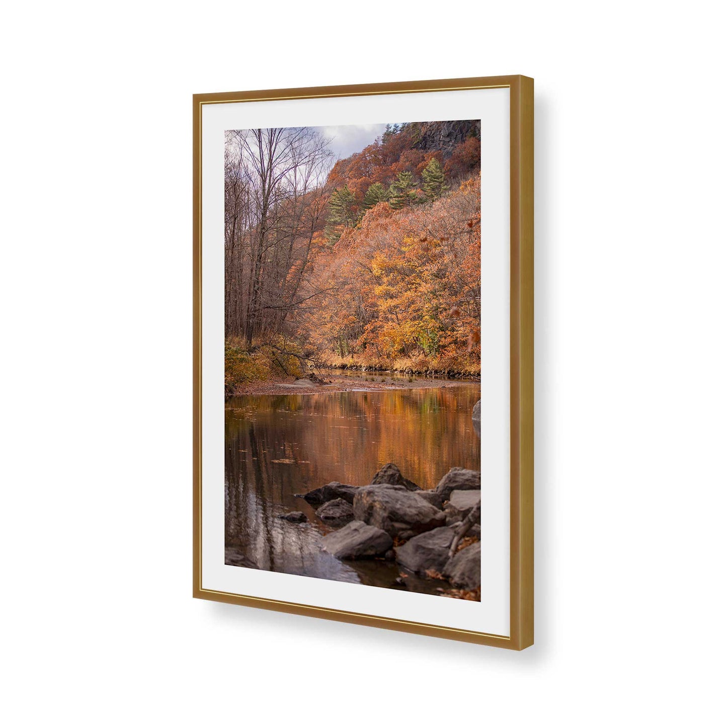 [Color:Polished Gold], Picture of art in a Polished Gold frame of the corner