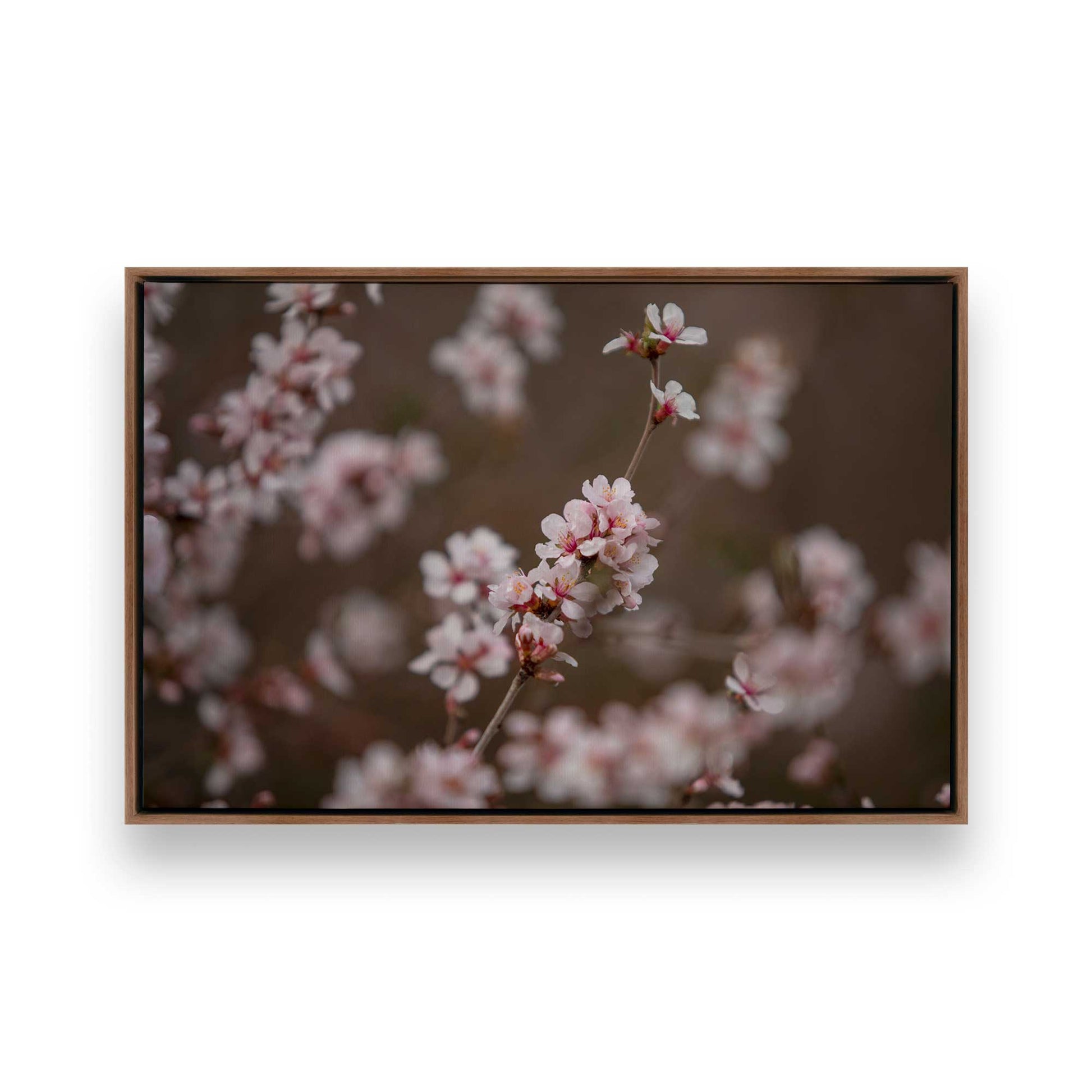 [Color:Walnut], Picture of art in a Walnut frame
