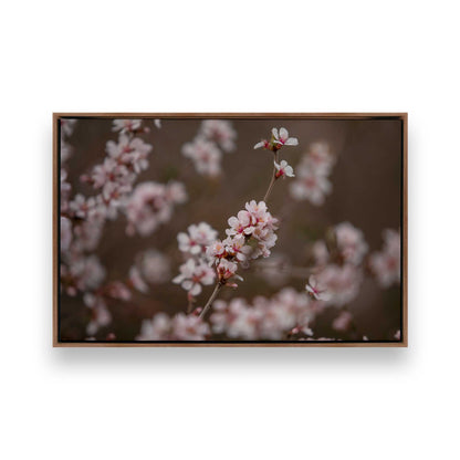 [Color:Walnut], Picture of art in a Walnut frame