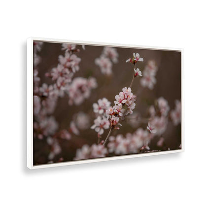 [Color:Opaque White], Picture of the corner of the art