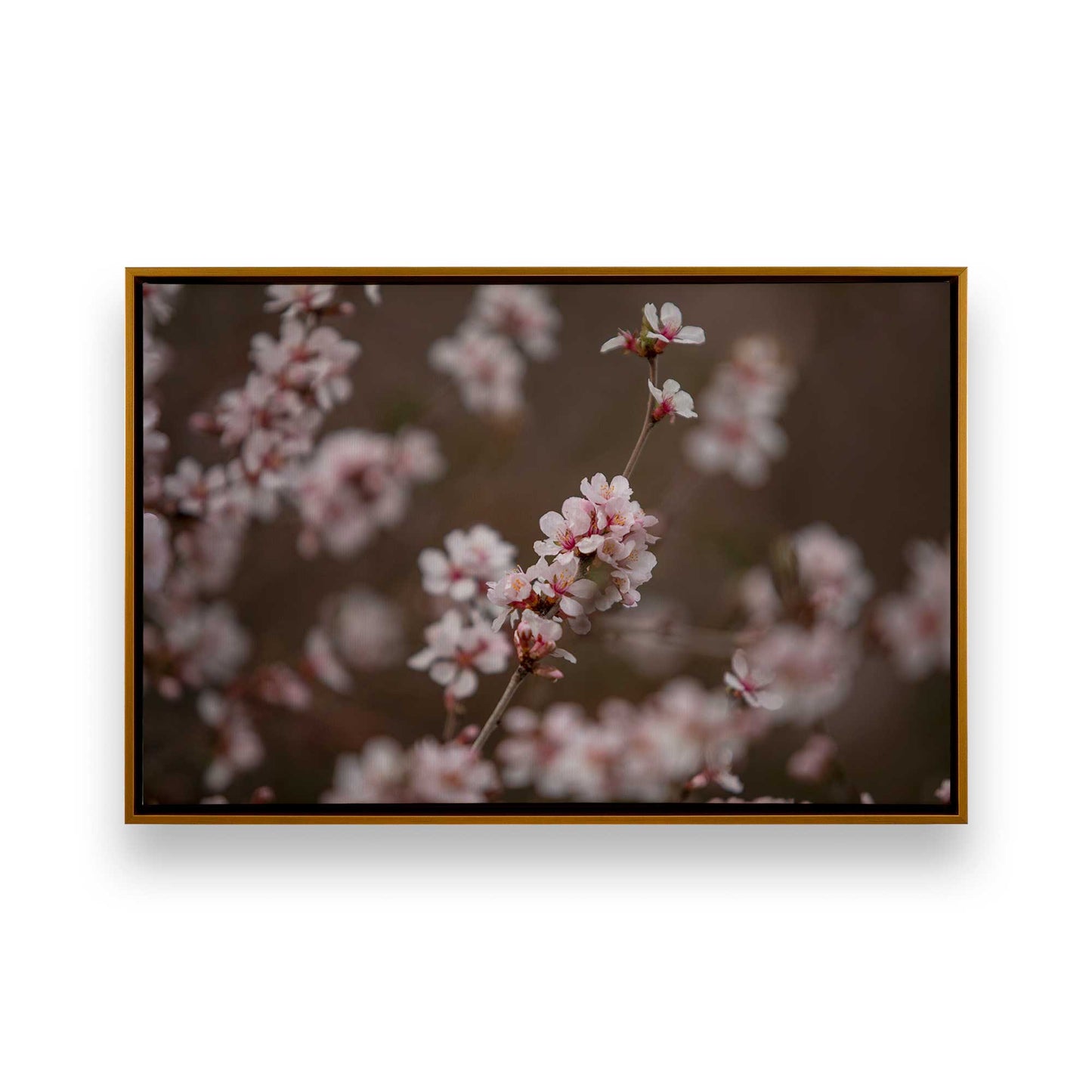 [Color:Polished Gold], Picture of art in a Polished Gold frame