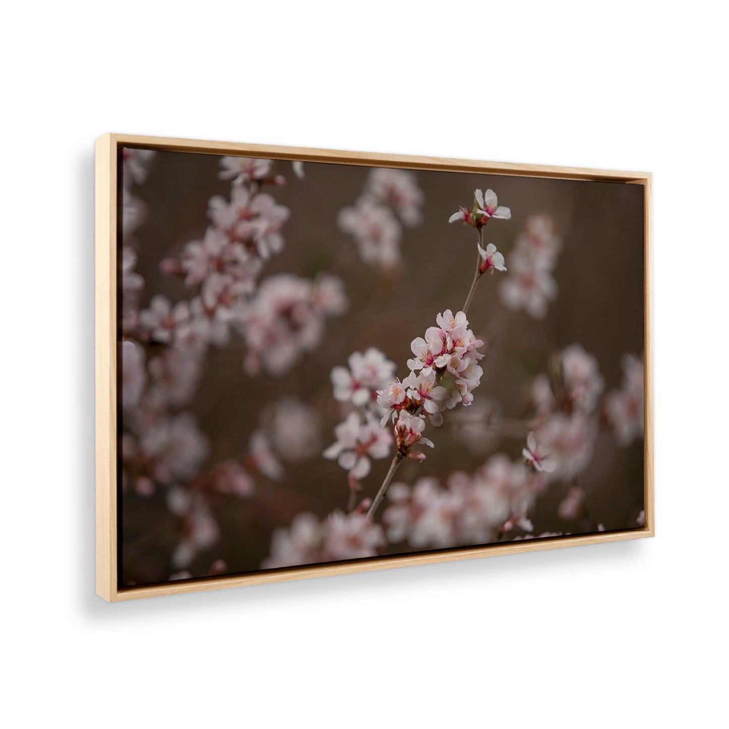 [Color:American Maple], Picture of the corner of the art